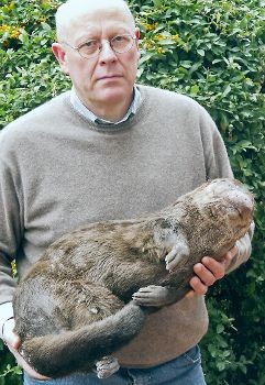 Uwe Seggermann, Leiter des Kreis-Naturschutzamtes, mit dem bei Jork umgekommenen Otter. Das Tier ist für Untersuchungen eingefroren worden. Foto Schmidt